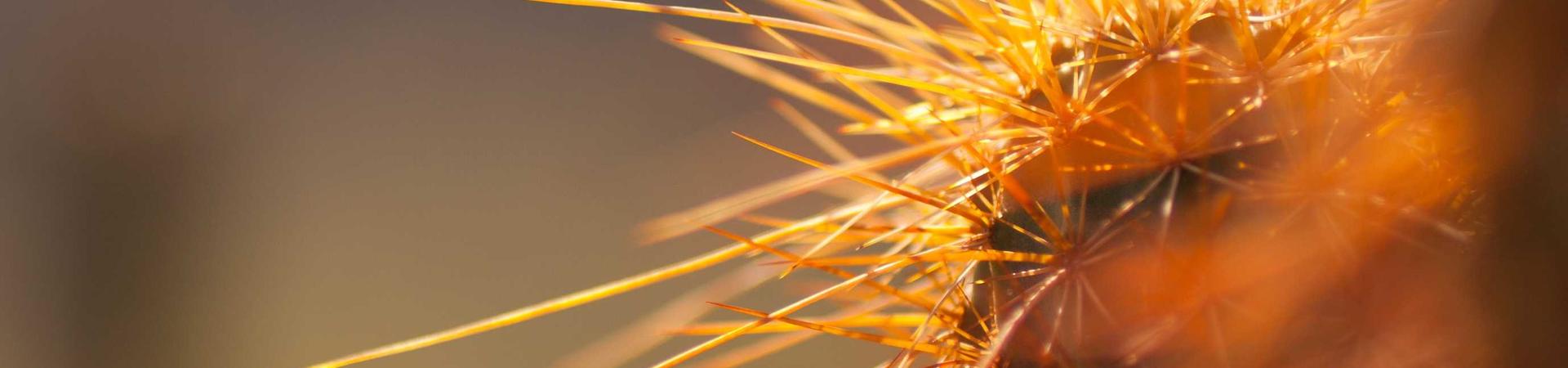 上海得辉物流有限公司 &middot; 长治运营中心
